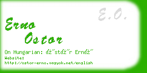 erno ostor business card